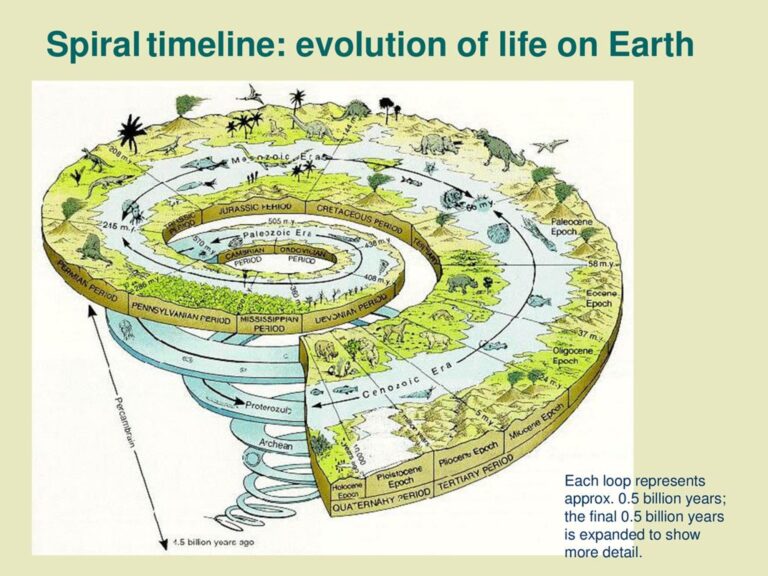Earth’s Extinction Events