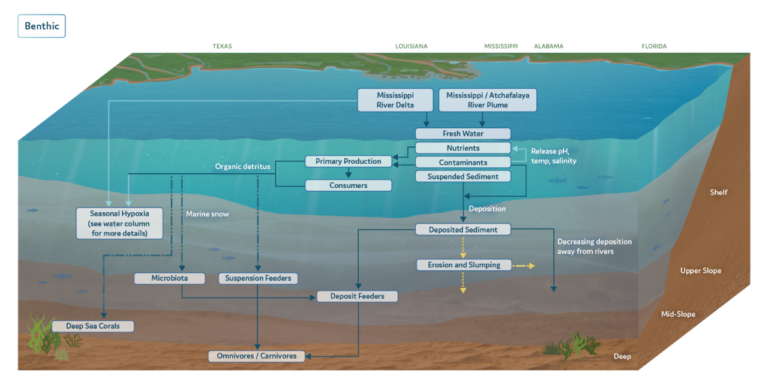 Gulf of Mexico Dead Zone