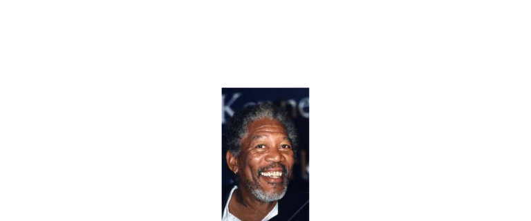 Morgan Freeman creates Bee Sanctuary