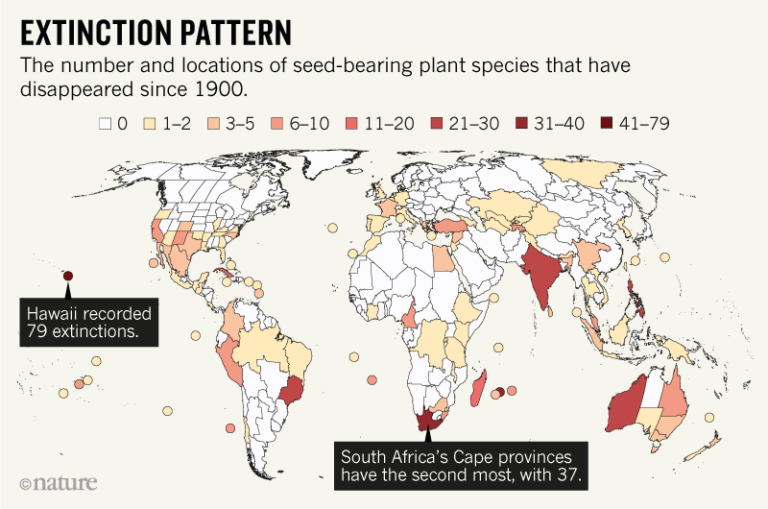 Hawaii Plant Die-Off