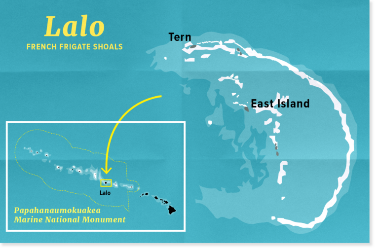 Hawaiian Island erased from Hurricane