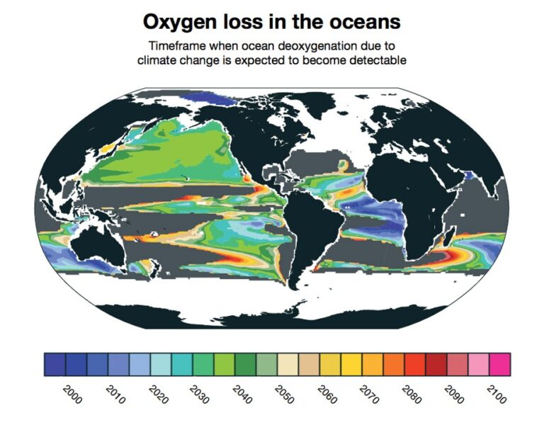 Less Oxygen in the Ocean Spells Disaster