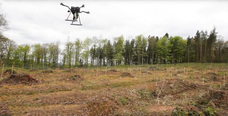 Mangroves saved by Tree Planting Drones