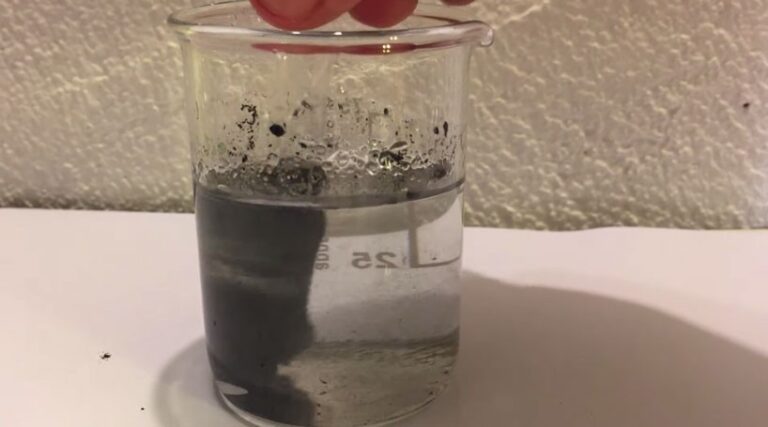 Teenager wins Science Award Removing Plastics from Ocean