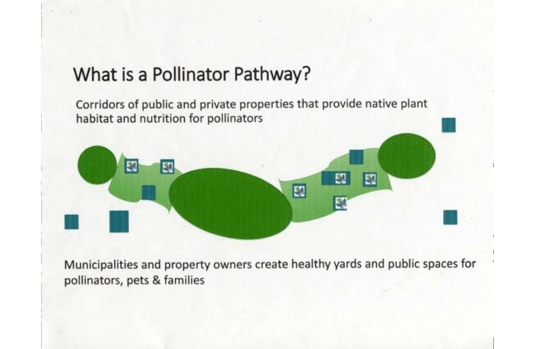 Pollinator Corridors Deemed Important