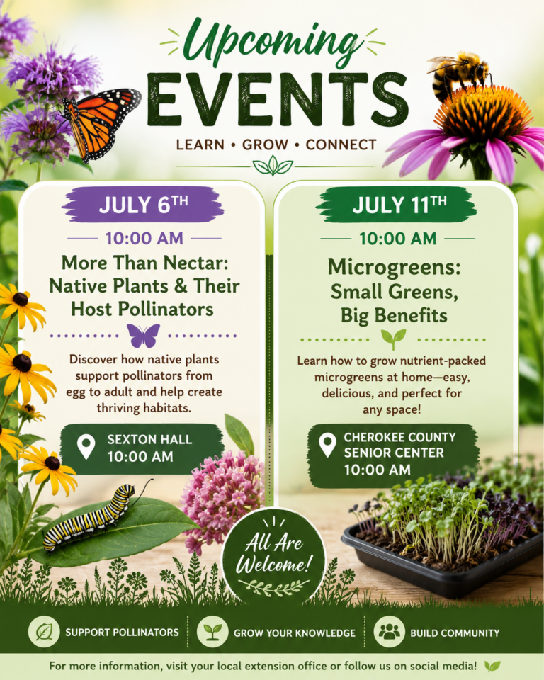 Events Week of July 6th – 11th