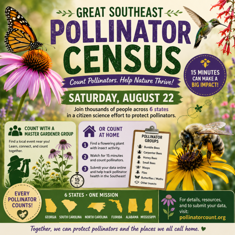 Explore Outdoors Nature Challenge: Southeast Pollinator Census