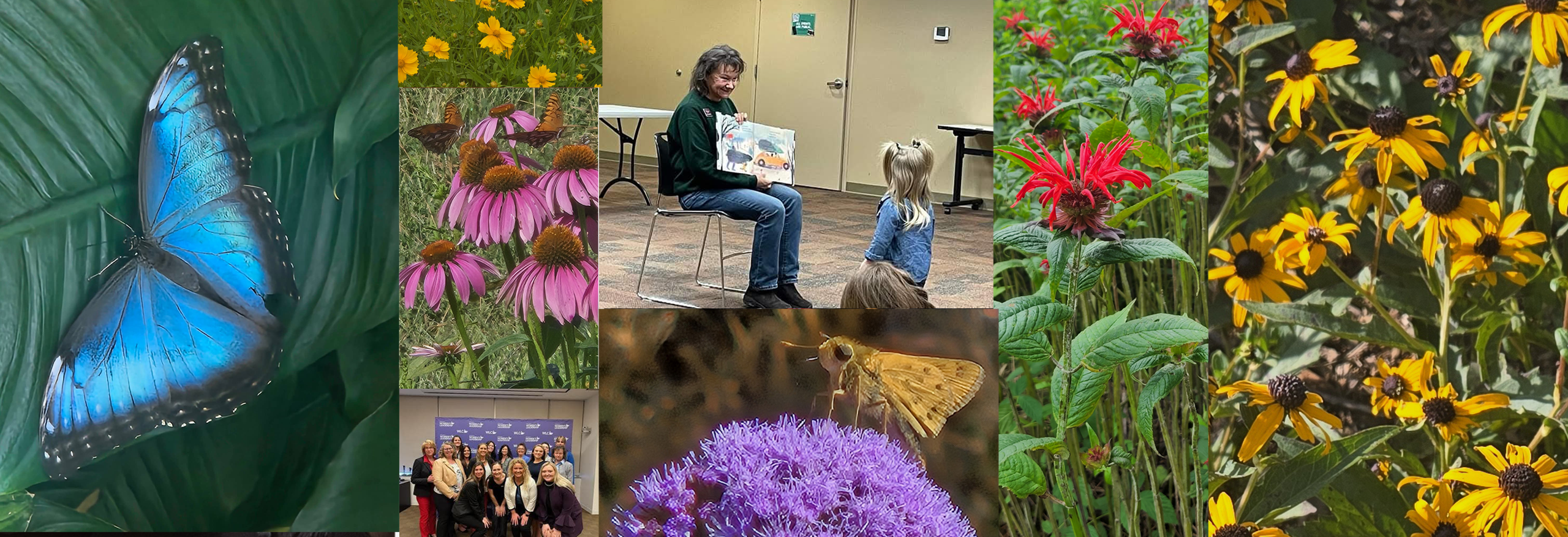 Collage of Nature on the Brink programs, native flowers, pollinators, and community activities