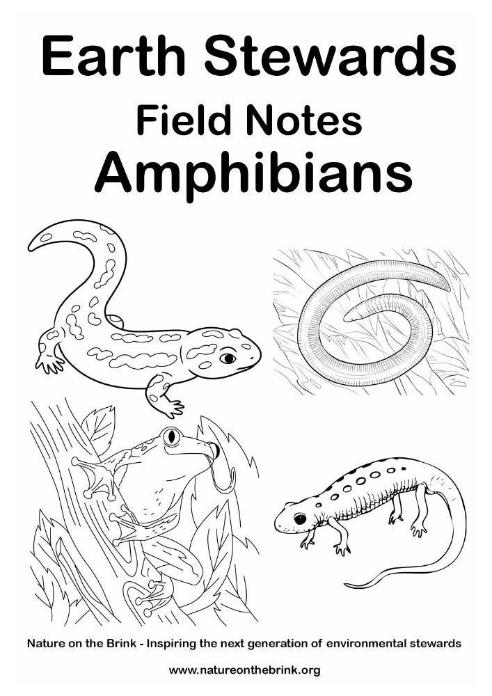 Amphibians — Title page preview