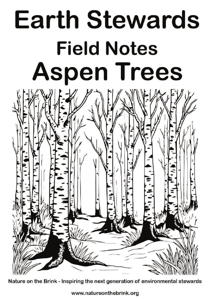 Aspen Trees — Title page preview