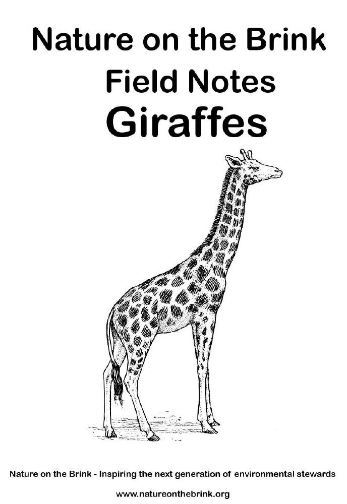 Giraffes — Title page preview