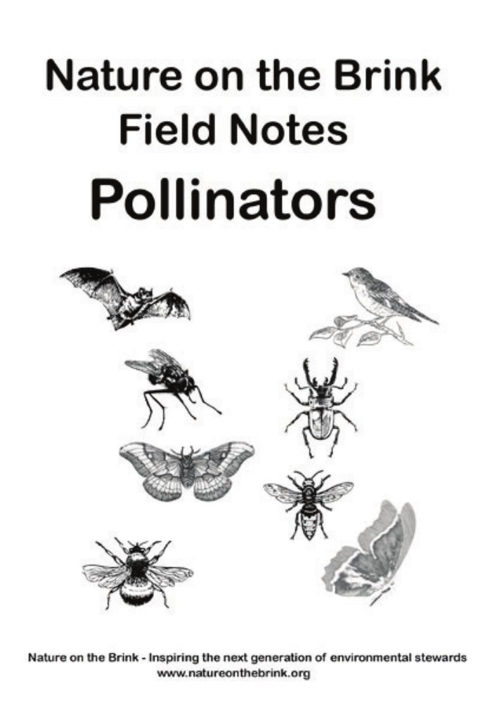 Pollinators — Title page preview