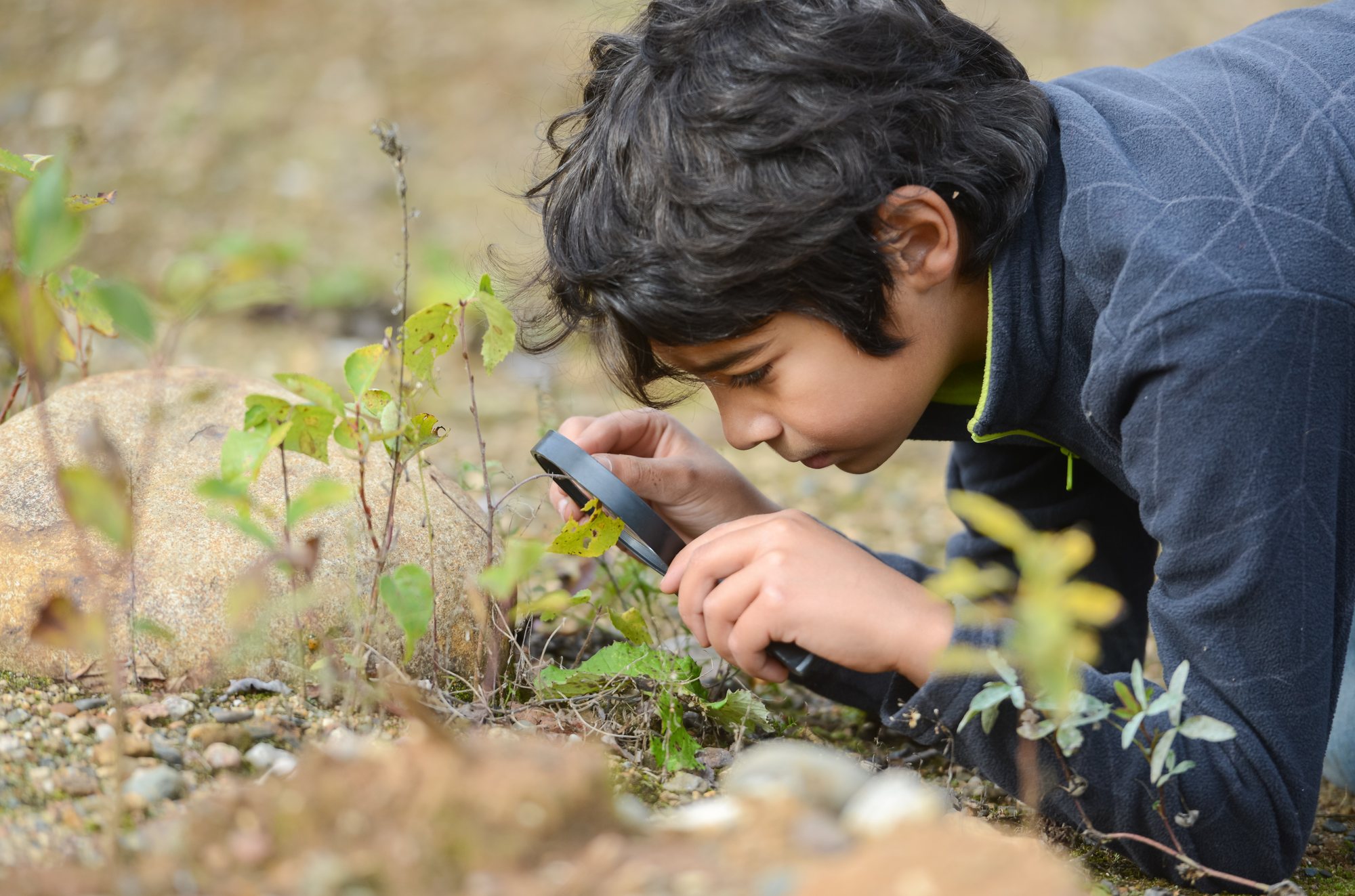 A young naturalist examining plants with a magnifying glass